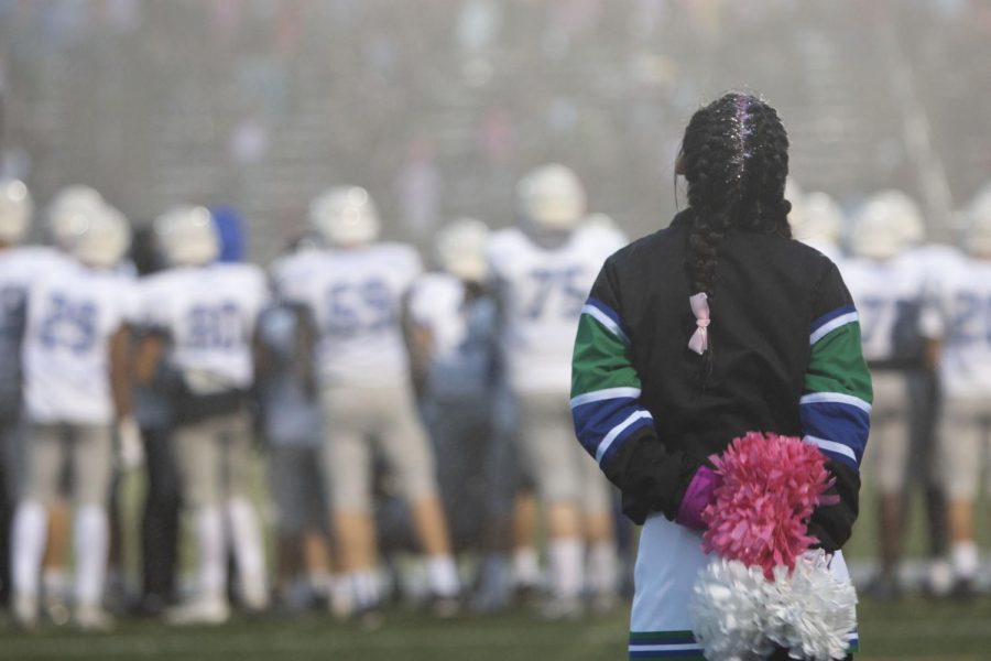 Side line cheer for the stangs